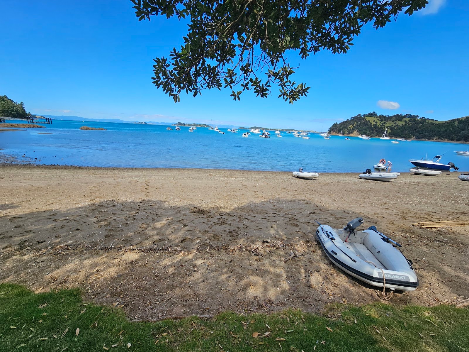 Kiwi Connect - Waiheke Island & Auckland Tours photo 2