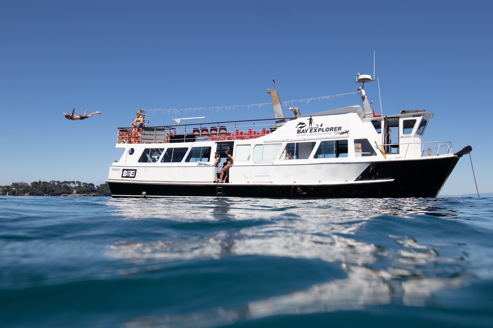 Bay Explorer - Dolphin and Wildlife Cruises photo 1