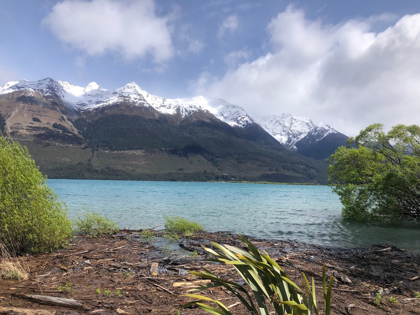Eco Travels photo 3