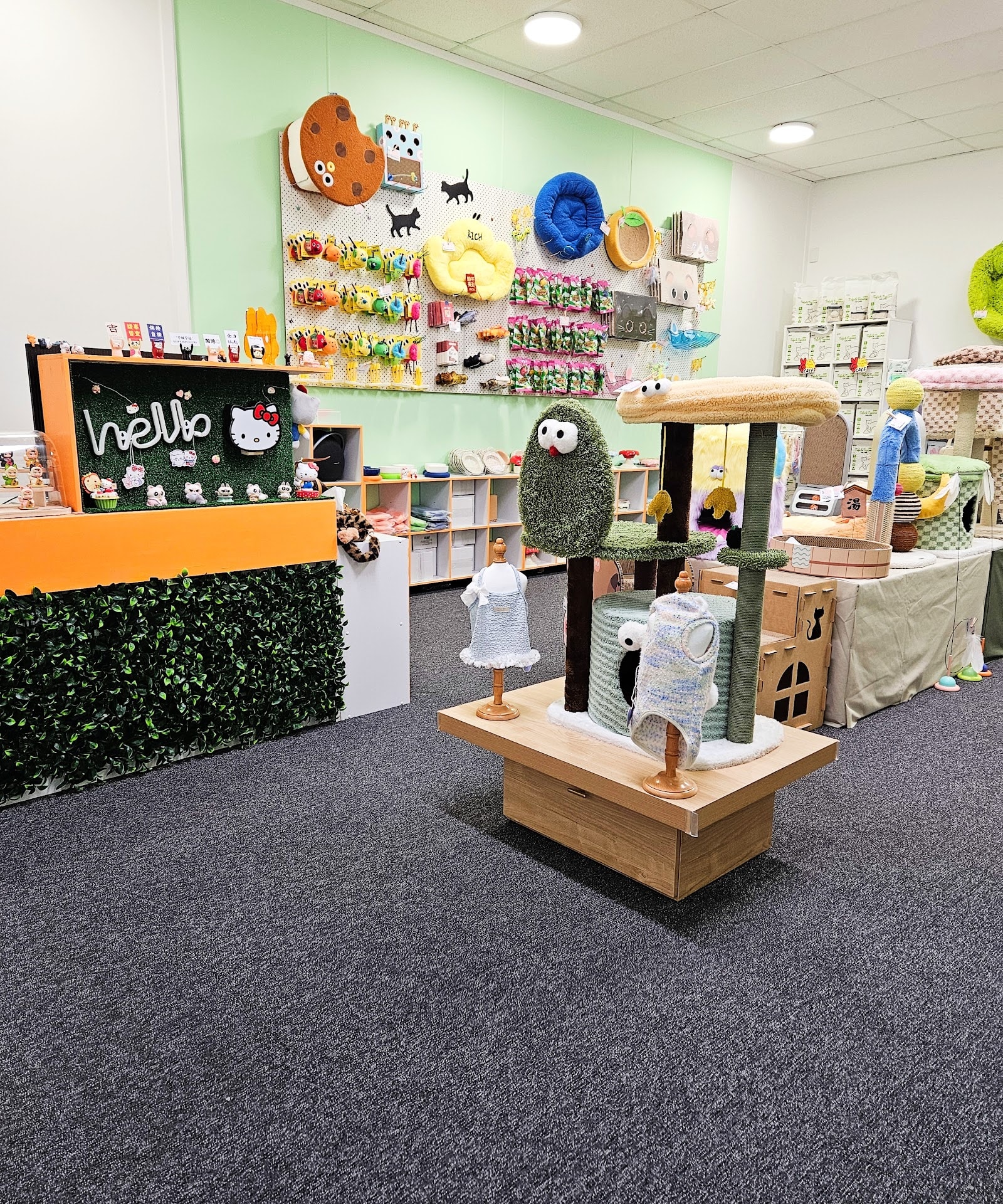 Catati - Cat Hotel & Cat Supplies photo 1