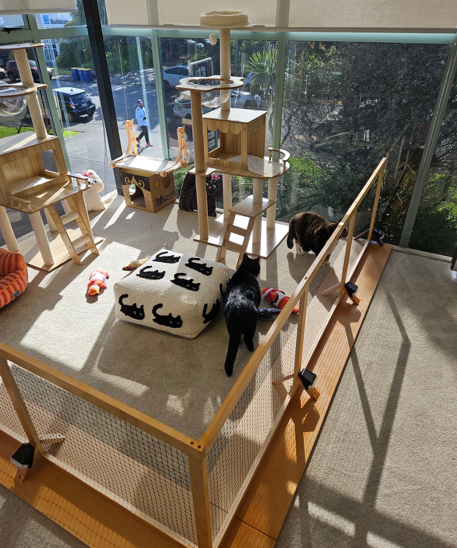 Catati - Cat Hotel & Cat Supplies photo 2