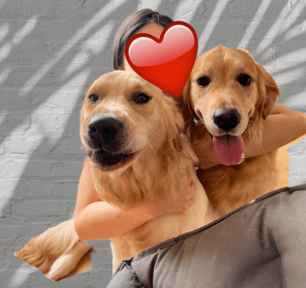 Fluff&Buff Pet Grooming Studio photo 2